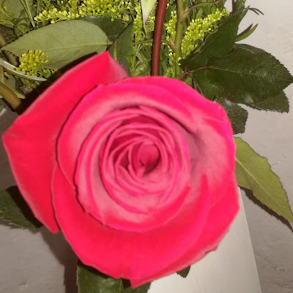 Meet your Posher, Nina - Picture 1 of 1